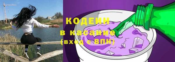 крисы Алапаевск