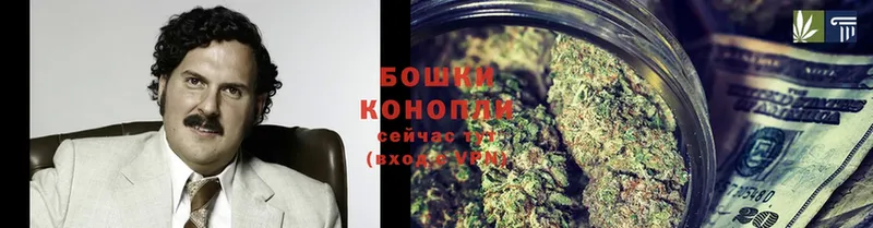 Бошки Шишки SATIVA & INDICA  Долинск 